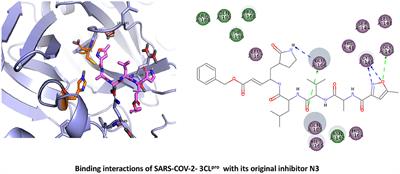 Computational Prediction of Potential Inhibitors of the Main Protease of SARS-CoV-2